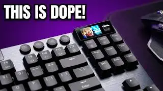 This keyboard means Business! | Immersion A3 Hexgears FULL REVIEW
