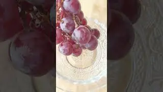 Beautiful Fruit Nature Life Vitis vinifera #grape  #shorts #viral #trending #4k
