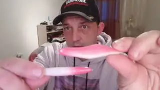 COMO CRISTALIZAR UNA POTERA O PAJARITO PARA CALAMAR🦑🦑 Y SEPIA👽