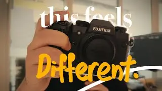 this old camera reignited my love for photography.