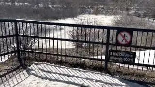 Hoggs back ottawa - April 2023