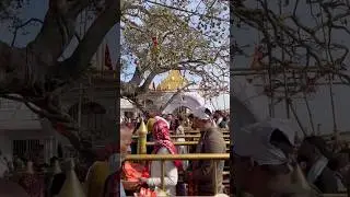 Ma naina devi❤️#nainadevimandir #nainadevitemple #nainadevi #jaimatadi #matanainadevi #himachal