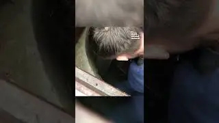 Emotional Kitten Storm Drain Rescue | Hero of the Month