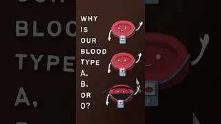 Why is our blood type A, B or O?
