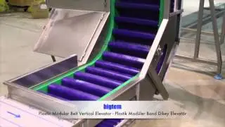bigtem- Plastic Modular Belt Vertical Elevator