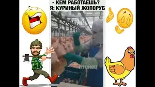 Куриный жопоруб! Смешная подборка приколов.