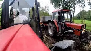 Mais Ernte 2017 auf dem Großbetrieb l IHC Power !!!