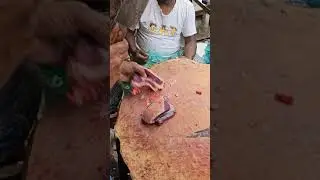 Deshi buffalo fresh meat best cutting skill in bd |