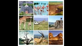 DeiaMo Paradiso Presents 10 Days All Inclusive The Republic of Kenya Tour.