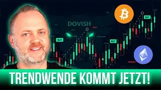 Krypto & Bitcoin: Marktwende 2025? Das musst du wissen!