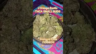 THCA SMALL BUDS L'ORANGE EXOTIC $75 OUNCE #THCASMALLBUDS #exotic #budget #greenhouse #lightassist
