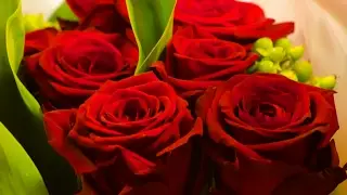 Best Price Online Flower Delivery Service In US And Canada