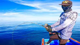 Full Strike Adu Betot Tarikan Babon | Seahawk Ocean Infinity !!