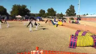 Jill 2016 Wild West Regional GP Finals