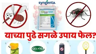 SYNGENTA- ICON 10 WP आता होईल घरातील मच्छरा सोबत माश्यांचा नायनाट!