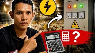 How to Calculate the Electricity Requirements for a Closed House Broiler Chicken Coop