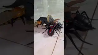 RC Animals |Rc Bee dinosaur Spider Ant Unboxing & Testing: Remote control Toys
