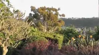 Million Dollar View in Bay Park San Diego?