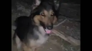 Ghost in afghanistan