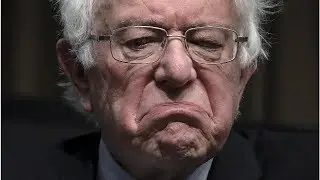 Muslim Leaders Say 2020 Democratic Candidates Are Ignoring Them | Politics News Network