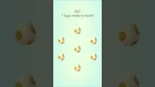 7 яиц события WILD Area размером 5 км &mdash; Pok&eacute;mon GO #WILDArea #egghatching #egghatch