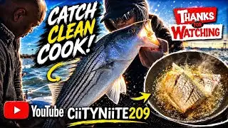 Striper run!! (PT).1 It’s crazy Rio vista ca, catch clean & cook Sherman island