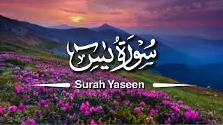 Surah Yaseen InDepth Study Day-6#Quran #eman #islam #knowledge #indepthstudy #education#surahyaseen