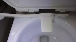 Why We Upgraded to the LUXE Bidet NEO 185 Plus