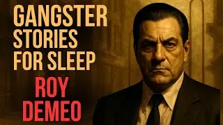 Gangster Stories For Sleep | Roy DeMeo : The Butcher Who Smiled in Silence 1983 Mafia Story