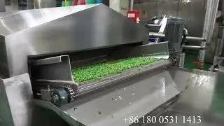 Continuous Onion Ring Frying Machine