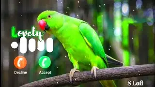 New Alone Ringtone Attitude Ringtone Sigma Ringtone | Non Copyright Ringtone | Viral Ringtone