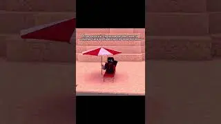 Мне лень писать описание... #shorts #minecraft #edit #brianimator #майнкрафт #animation