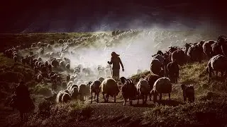 Why were the Shepherds the first to know about the Birth of Jesus?