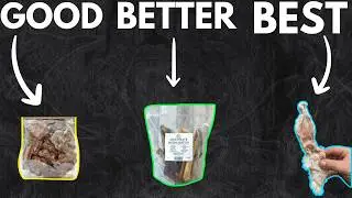 Ranking The Best Dog Treats