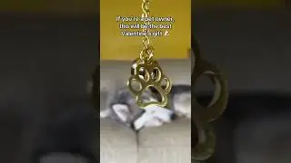 Больше информации в моем профиле ❤️✨ Идеальный подарок для владельцев собак и любителей кошек #по...