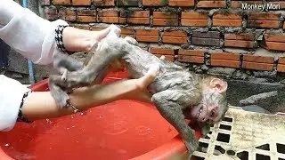 Baby Mori Hard To Take A Bath, Mori Still Scare Water
