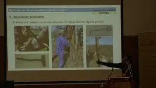 Control biol&oacute;gico del chancro en Portugal: t&eacute;cnicas de aplicaci&oacute;n  de cepas hipovirulentas.