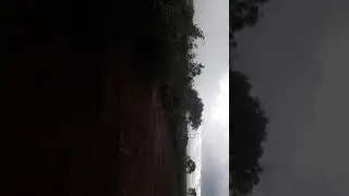 Limpeza de pasto