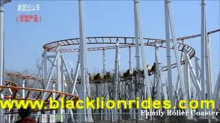 Amusement Park Rides Big Family Roller Coaster For Sale