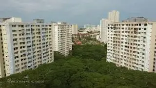 Green canopy of Bukit Jambul, Penang.