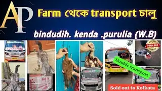 A P Farm থেকে transport  চালু  