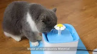 Top 5 Smart Gadget For Pet Care gadgets cool gadgets pet gadgets