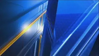 City of Savannah plants trees through Urban Tree Nursery Project