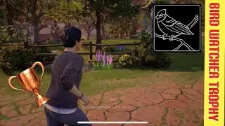 Life is Strange: True Colors | Bird Spotting Trophy Guide 🦅 🏆
