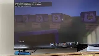 Random Minecraft