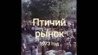 Птичий рынок, СССР , 1973 год🚩