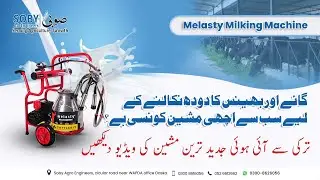 Melasty Single Bucket Milking Machine Suitable for Buffalo | SOBY Agro Machinery
