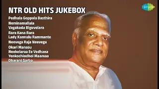 ఎన్టీఆర్ సూపర్ హిట్ పాటలు | S.P. Balasubrahmanyam Songs | Pedhala Goppala Basthira