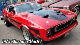 1973 Mustang Mach 1, Camino 1971, Malibú 1979, Galaxie 1969. Bazar de Carcacha.
