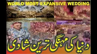 World Most Expensive Wedding | Arabic Wedding Style | Money Heist | Money Rain in Wedding |Tradition